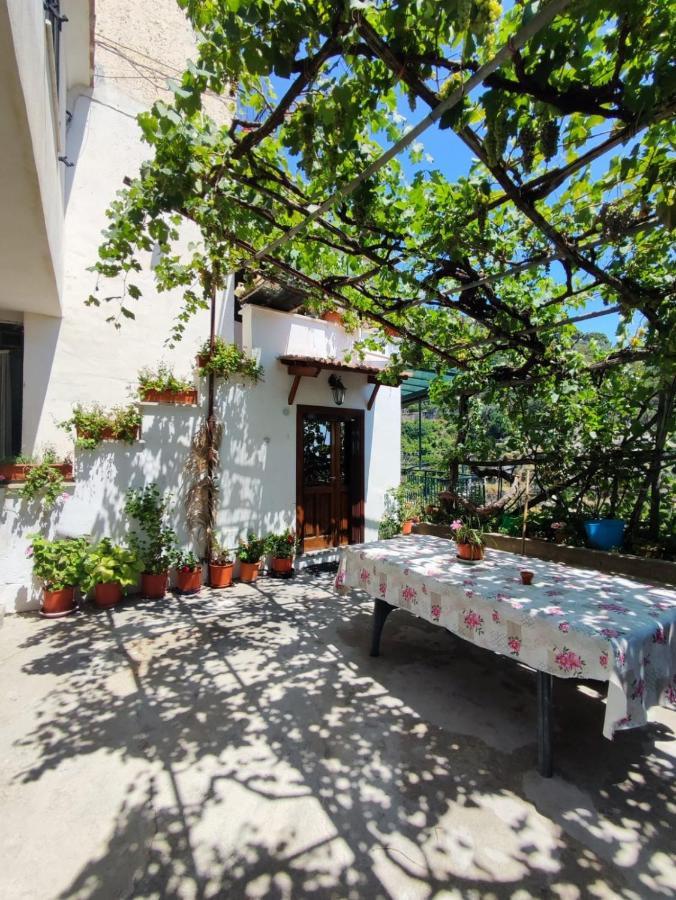 Appartement Eden Tra I Limoni à Minori Extérieur photo